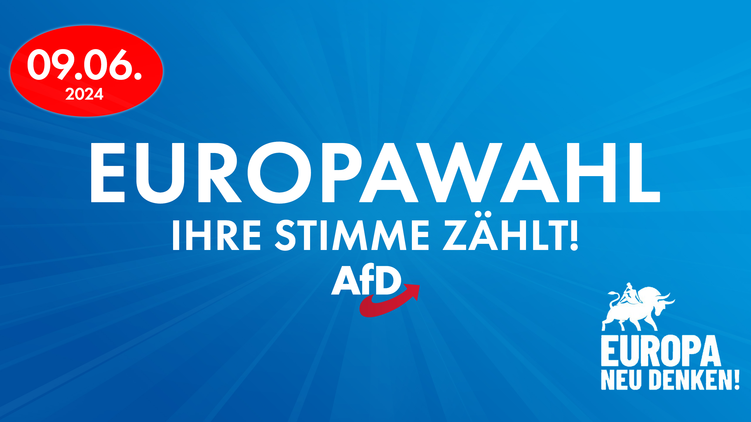 AfD Europawahl