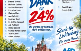AfD Wahl 2026 Lichtenberg